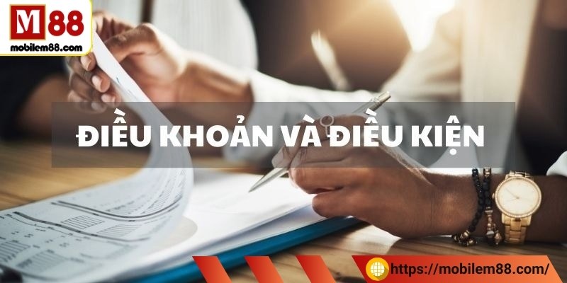 Giới thiệu chung về điều khoản điều kiện