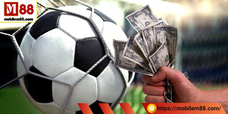 Soi kèo chính xác - Hé lộ bí quyết bắt kèo từ cao thủ 1 Những thông tin tổng quan về soi kèo chính xác