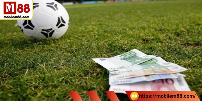 Một số cách chơi cá cược phổ biến trong soi kèo hôm nay