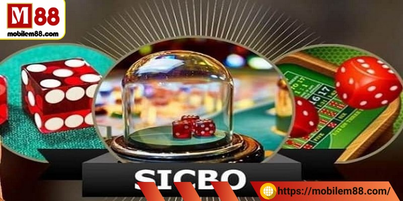 Quan sát chuỗi kết quả là kỹ thuật cần thiết giúp bạn chiến thắng đối thủ