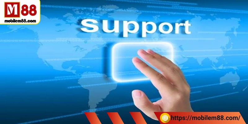 Khi có dấu hiệu bịp hãy liên hệ ngay với nhà cái để được hỗ trợ