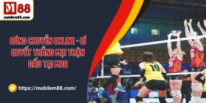 bong chuyen online anh dai dien