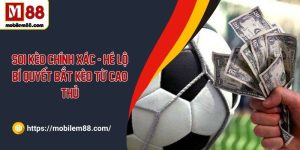 Soi kèo chính xác - Hé lộ bí quyết bắt kèo từ cao thủ