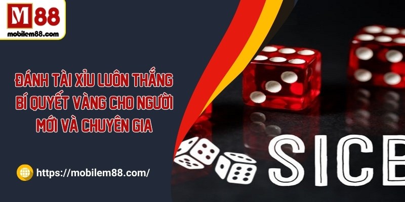 Đánh tài xỉu luôn thắng: Bí quyết vàng cho người mới và chuyên gia
